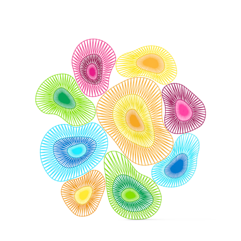 NEW MULTICOLORE (Not available)