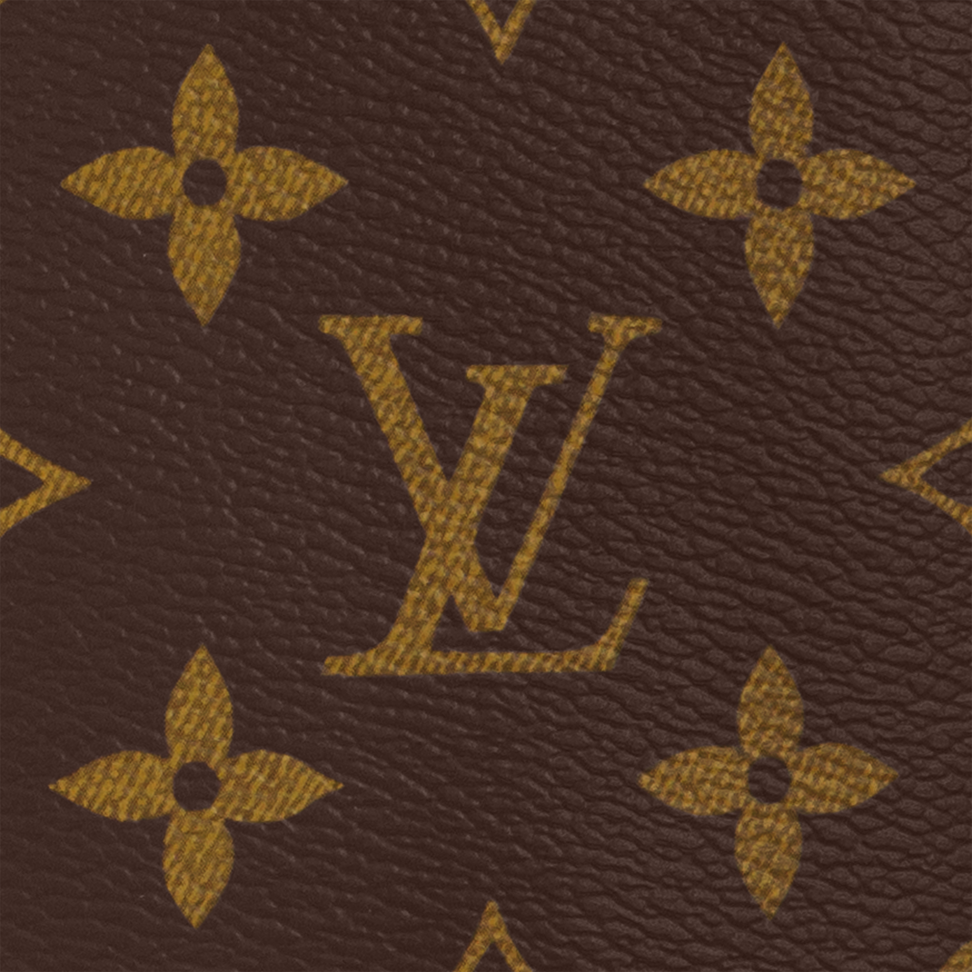 Avenue Slingbag Monogram Macassar in Men