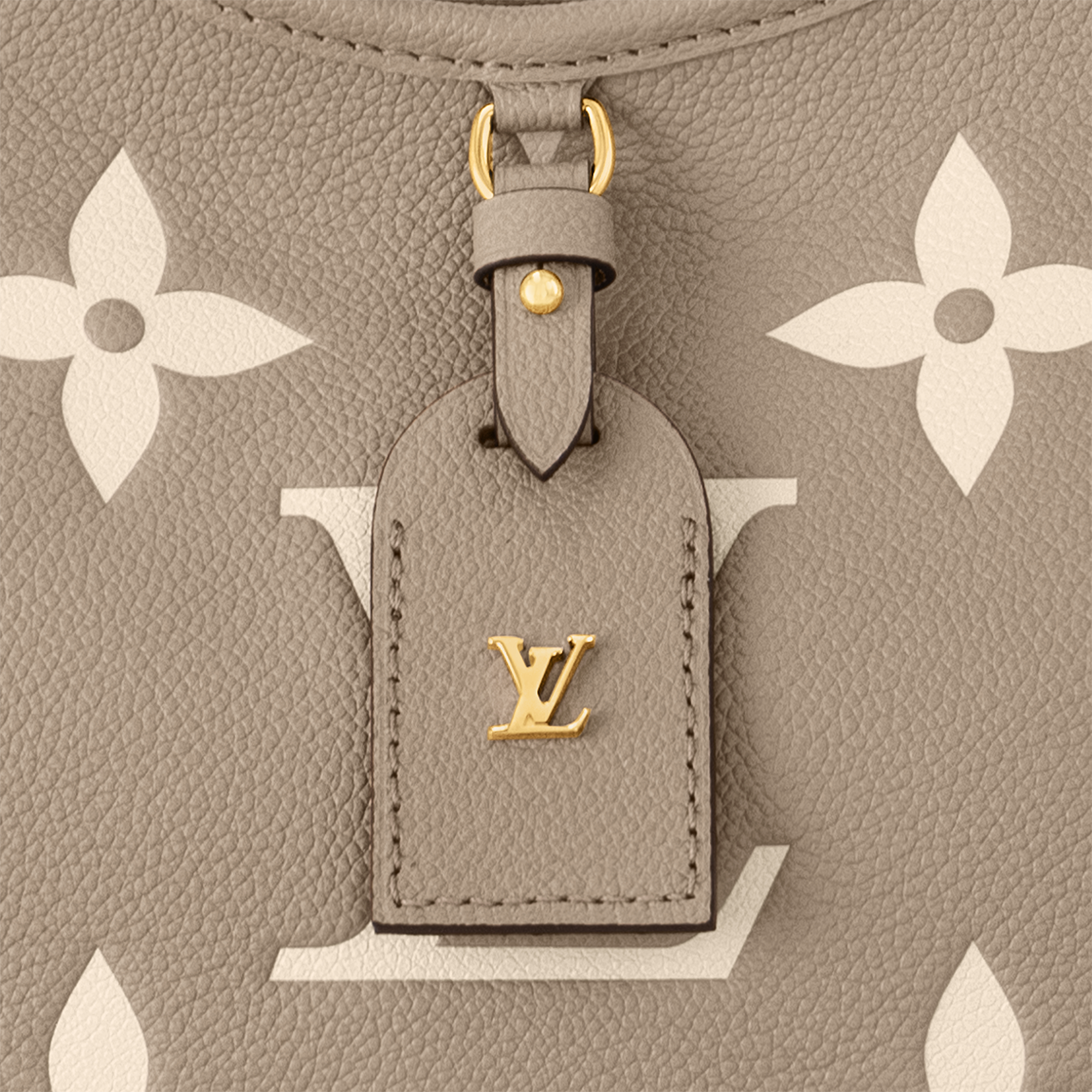 CarryAll PM Bicolor Monogram Empreinte Leather in Women