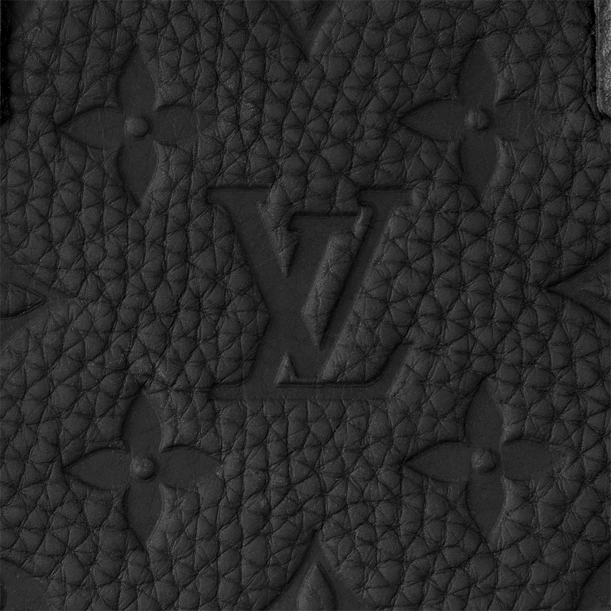 Christopher MM Monogram Taurillon Leather LG - G90 in Men