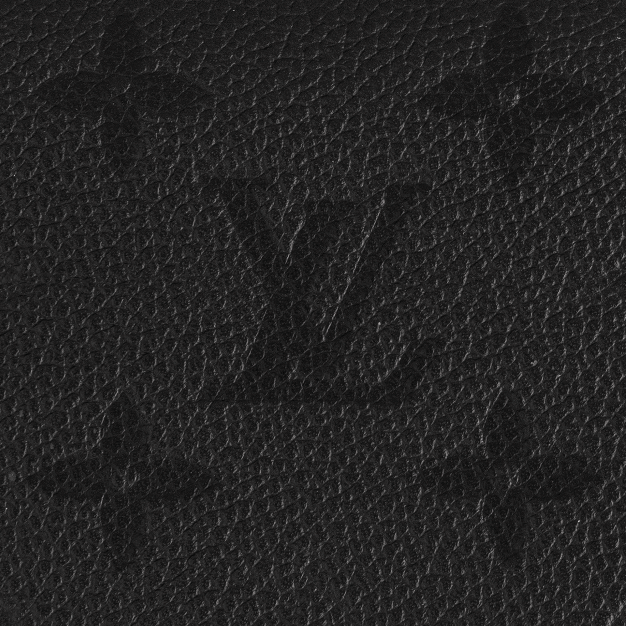 Cléa Wallet Monogram Empreinte in Women