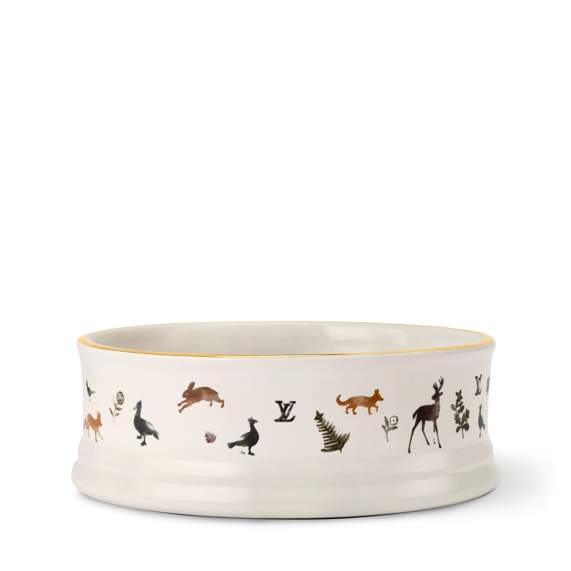 Dog Bowl . in Trunks, Travel and Home