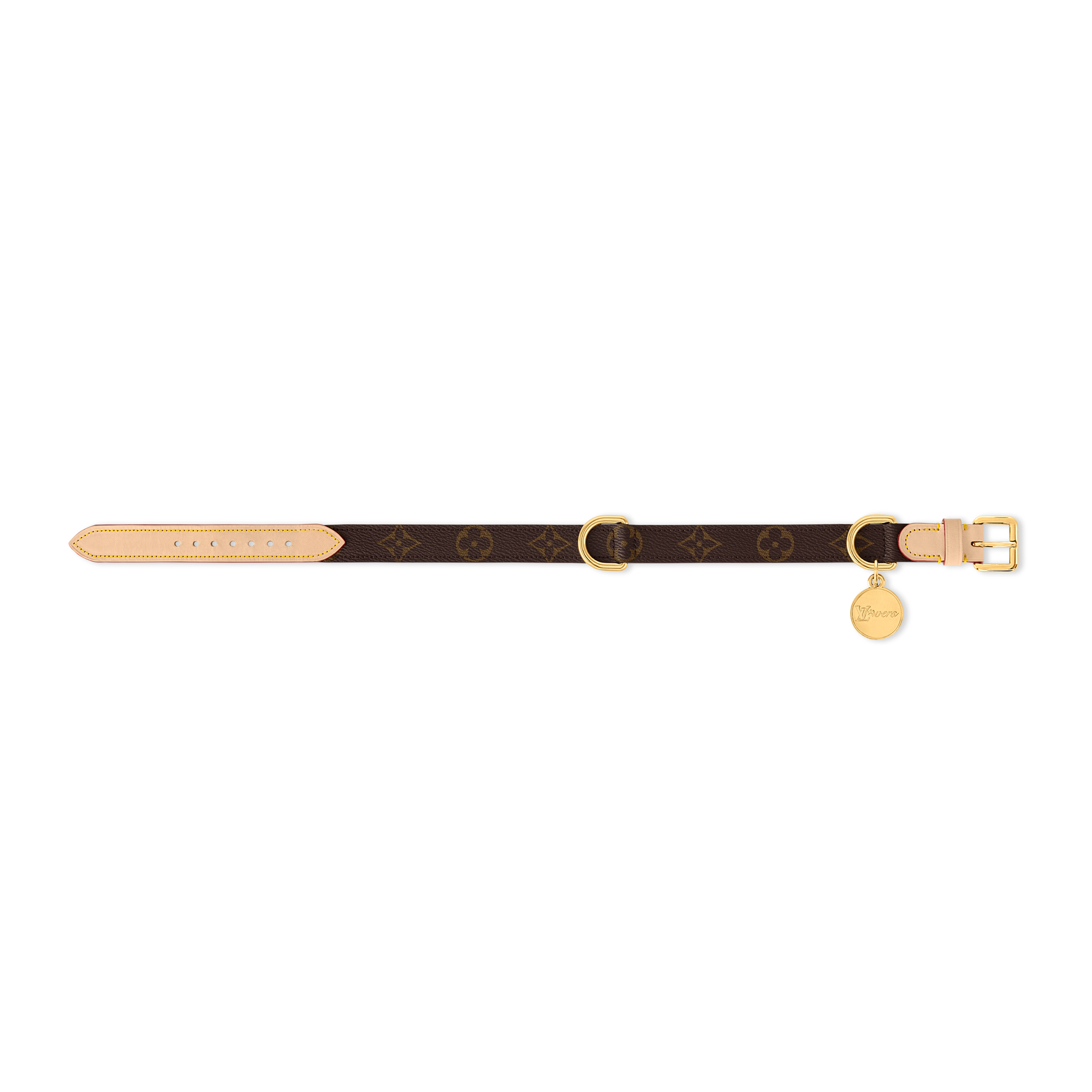 Dog Collar MM  in Trunks, Travel and Home