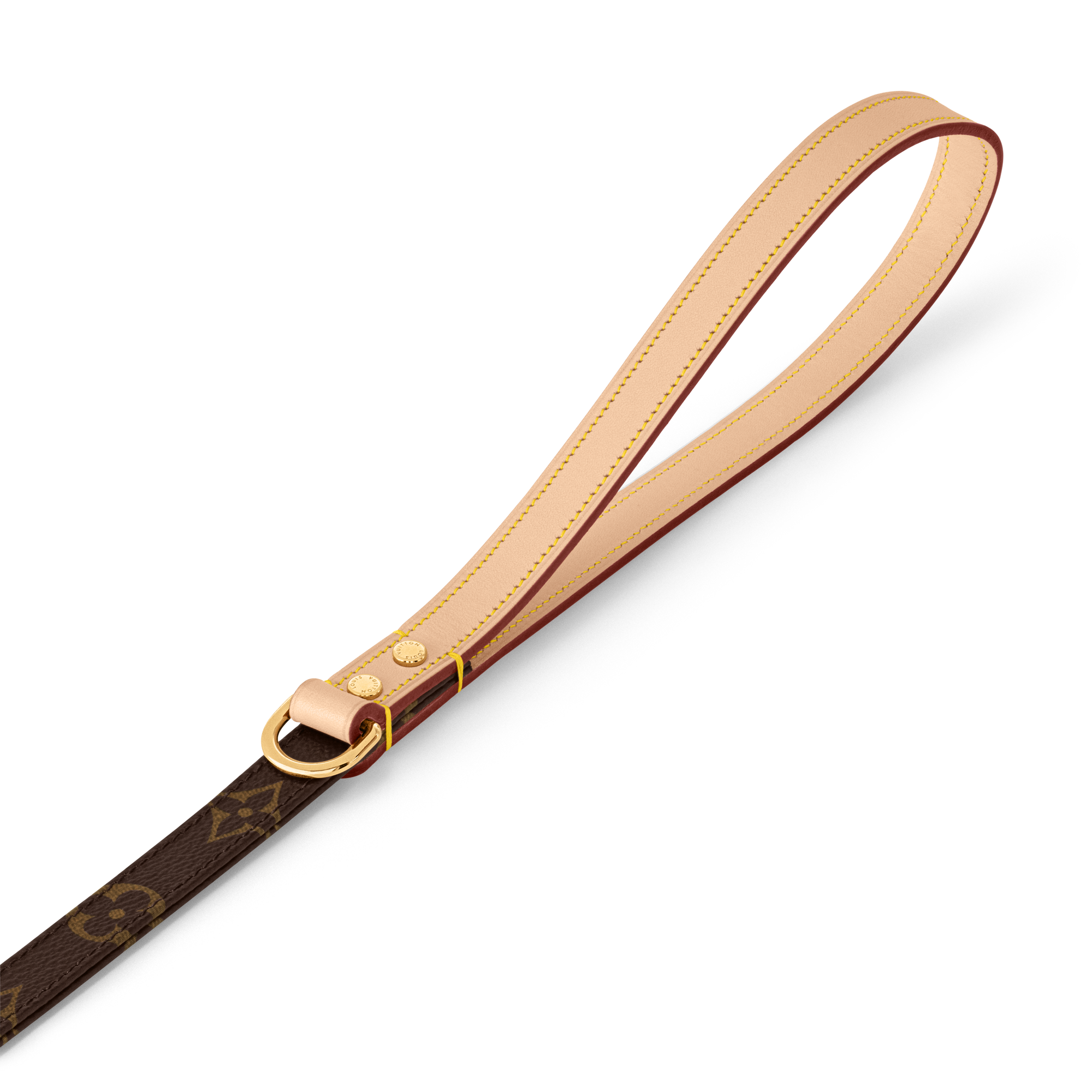 Dog Leash PM  in Trunks, Travel and Home