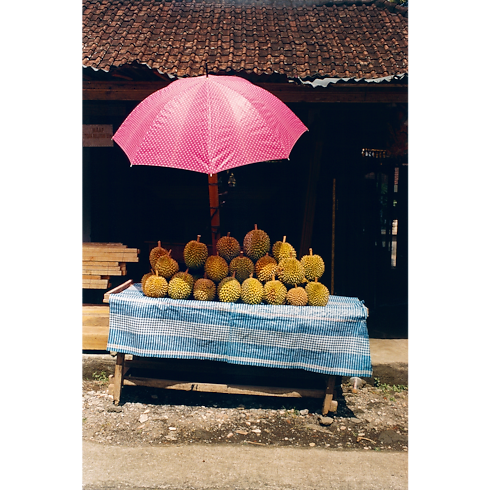 Fashion Eye Bali in Trunks, Travel and Home's Books and Stationery Fashion Eye Books collections by Louis Vuitton (Product zoom)