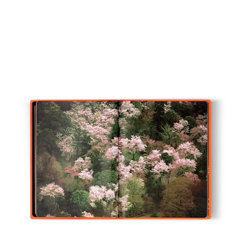 Fashion Eye Silk Road in Trunks, Travel and Home's Books and Stationery Fashion Eye Books collections by Louis Vuitton (Product zoom)