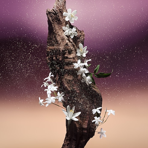 Fleur du Désert in Perfumes's Collections Masculine Perfumes collections by Louis Vuitton (Product zoom)