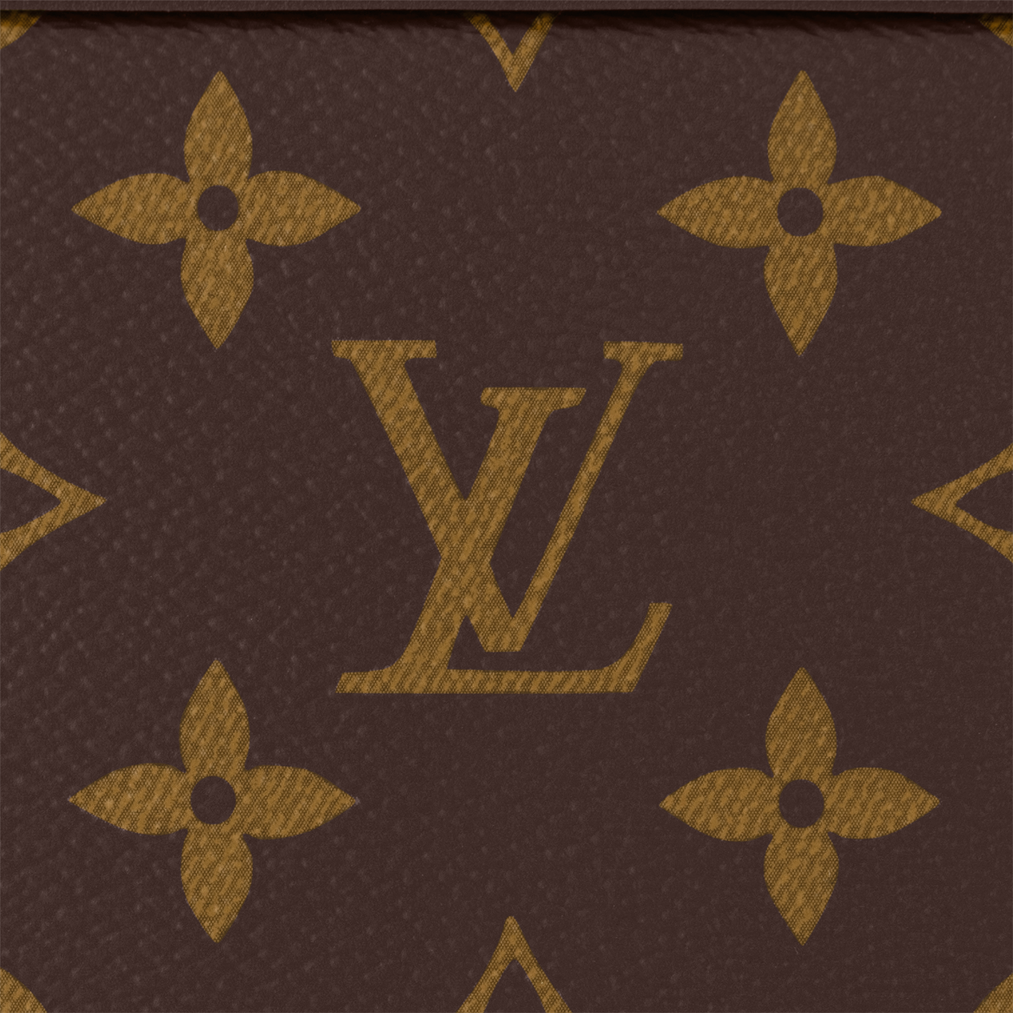 Handle Soft Trunk Monogram Macassar in Men