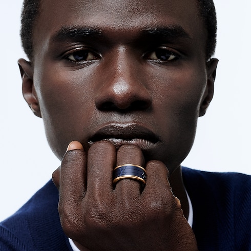 Les Gastons Vuitton Puzzle Ring, Yellow Gold and Blue Titanium in Jewellery's Categories Rings collections by Louis Vuitton (Product zoom)