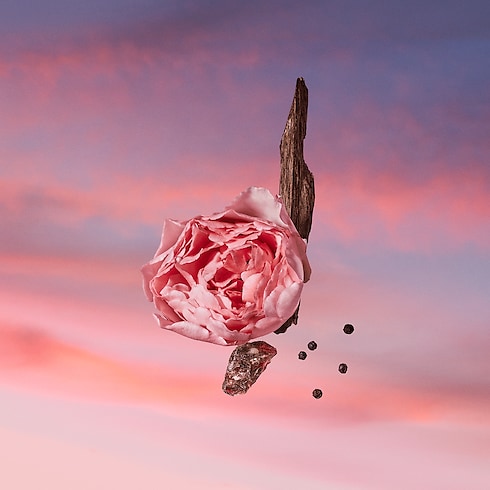 Les Sables Roses in Perfumes's Collections Masculine Perfumes collections by Louis Vuitton (Product zoom)