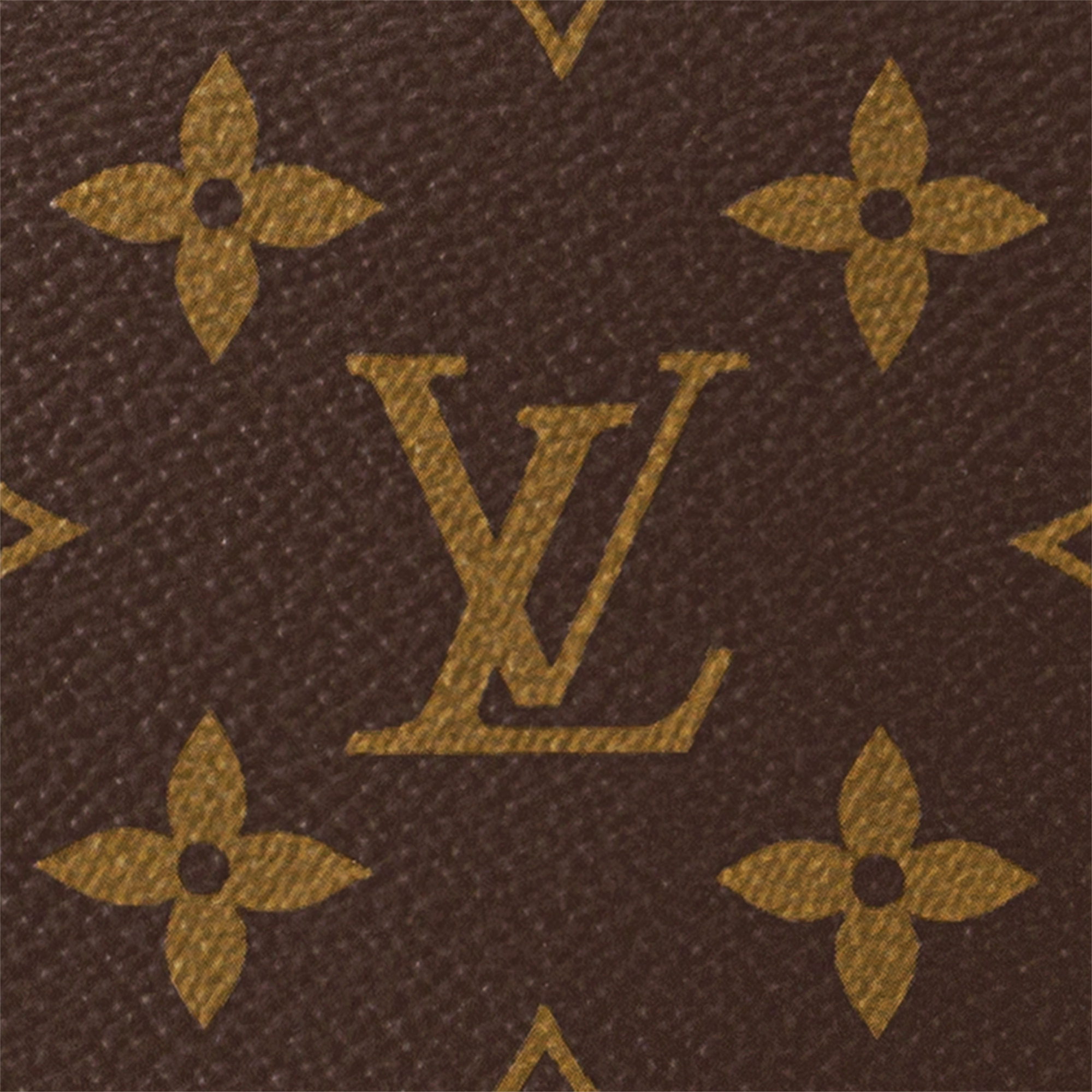 Loop Hobo Monogram Canvas in Women