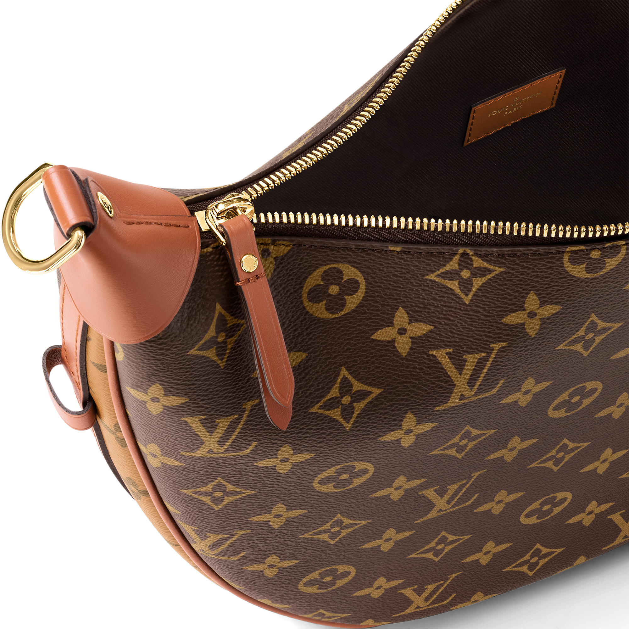 Loop Hobo Monogram Canvas in Women