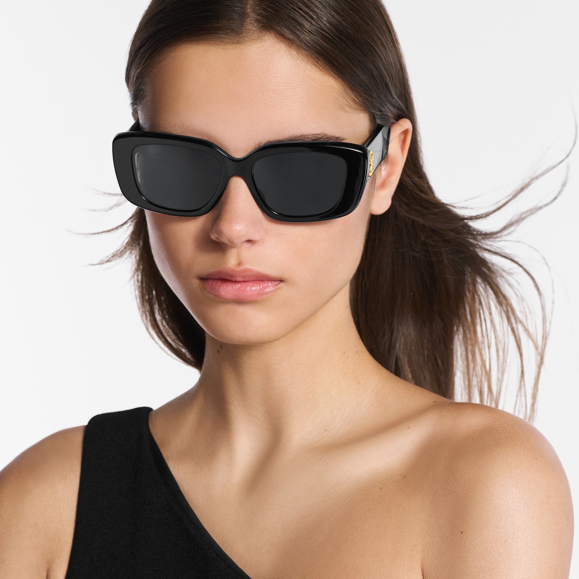 LV Circle Large Cat Eye Sunglasses . in Women