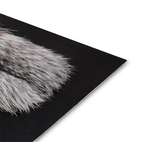 LV Neo Foxy Cape . in Women's New In Women } collections by Louis Vuitton (Product zoom)