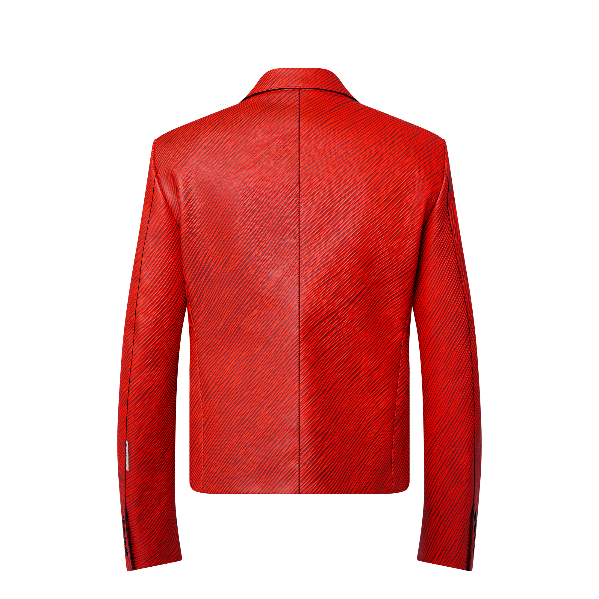 LV x Park Seo-Bo Epi Double-Breasted Leather Jacket  in Men
