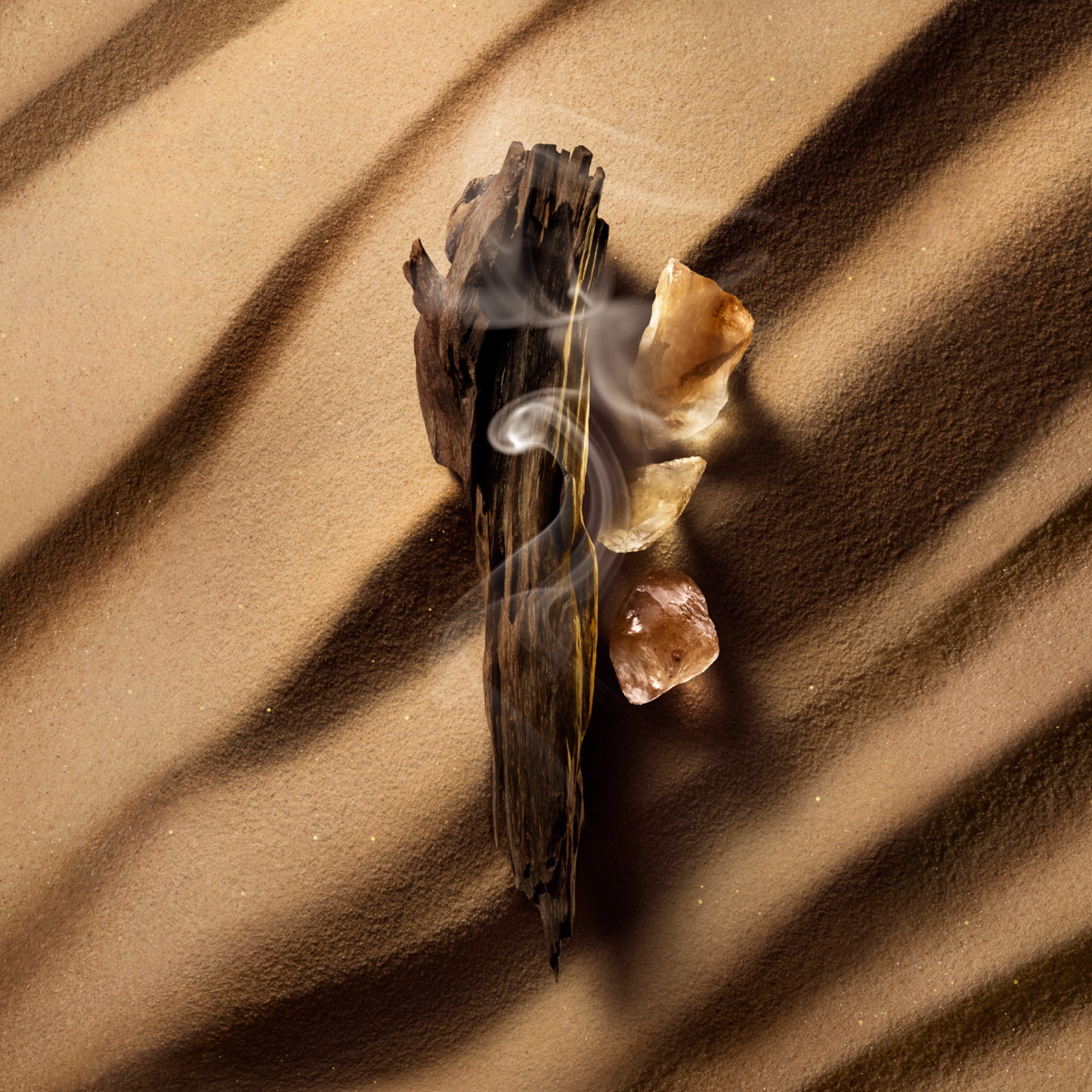 Ombre Nomade  in Perfumes