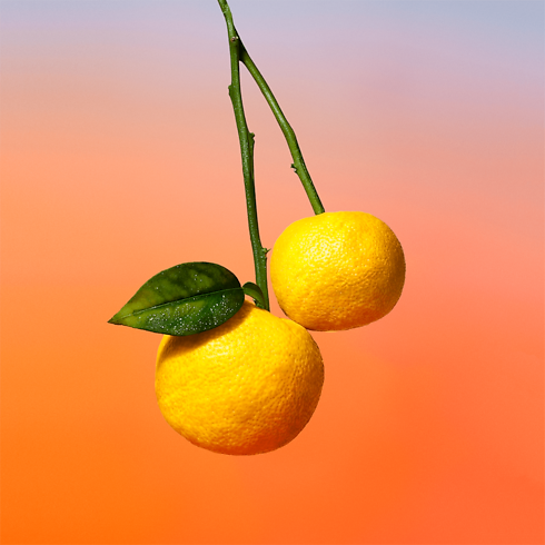 On the Beach in Perfumes's Collections Masculine Perfumes collections by Louis Vuitton (Product zoom)