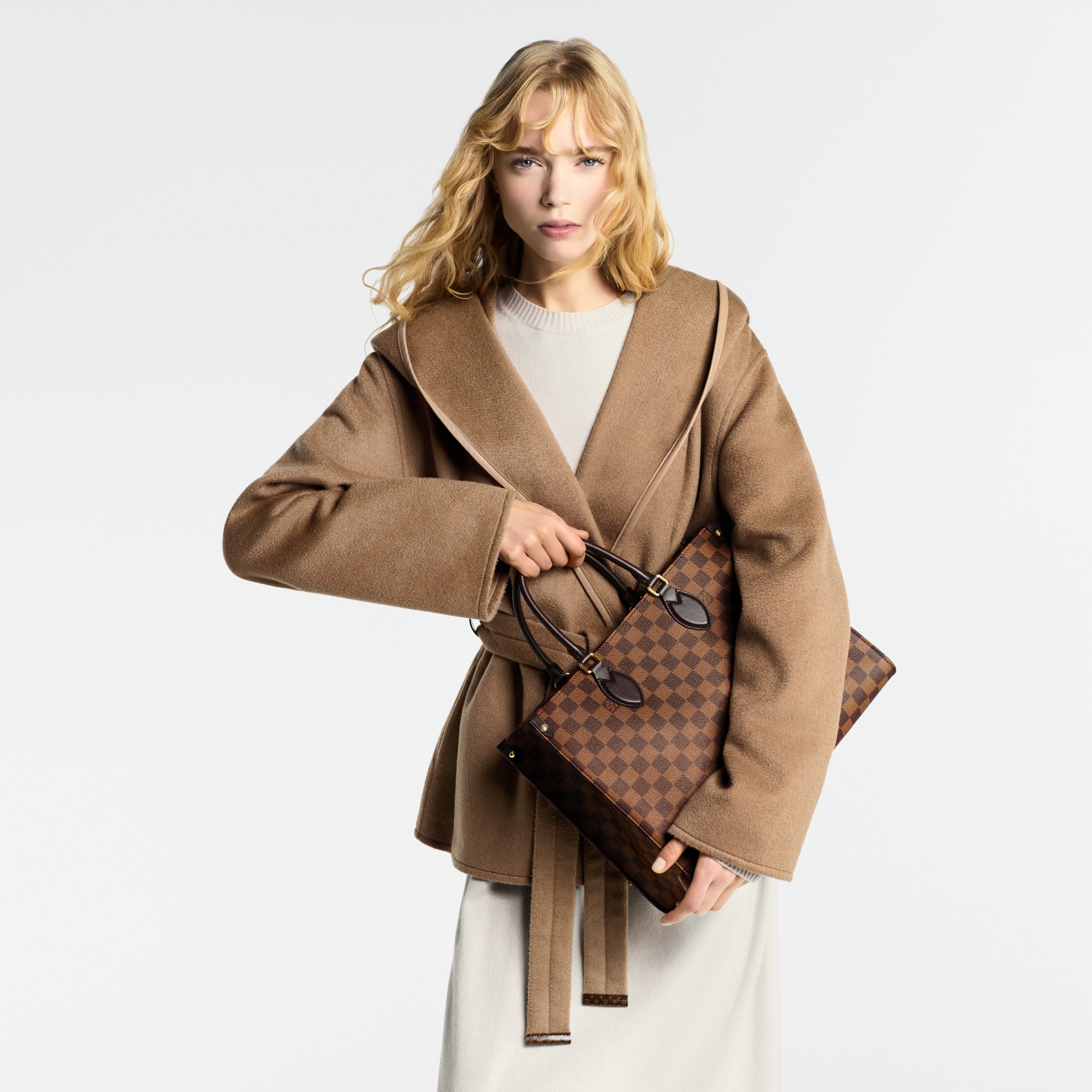OnTheGo MM Damier Ebene in Bags and Small Leather Goods