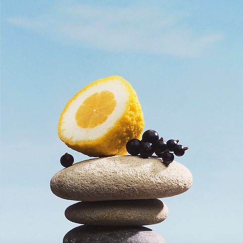 Pacific Chill in Perfumes's Collections Masculine Perfumes collections by Louis Vuitton (Product zoom)