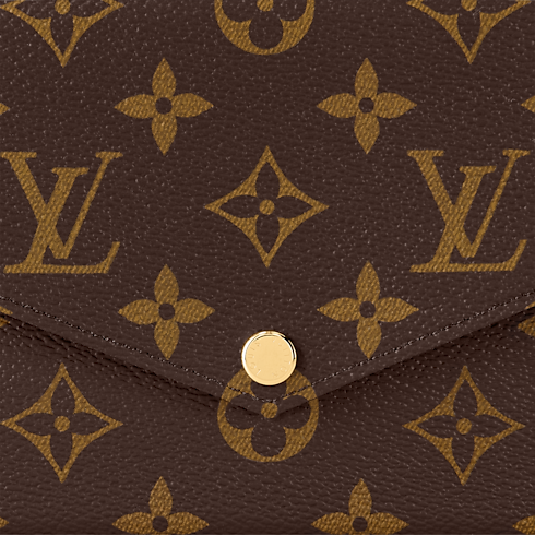 Pochette Félicie Monogram in Women's Handbags All Handbags collections by Louis Vuitton (Product zoom)