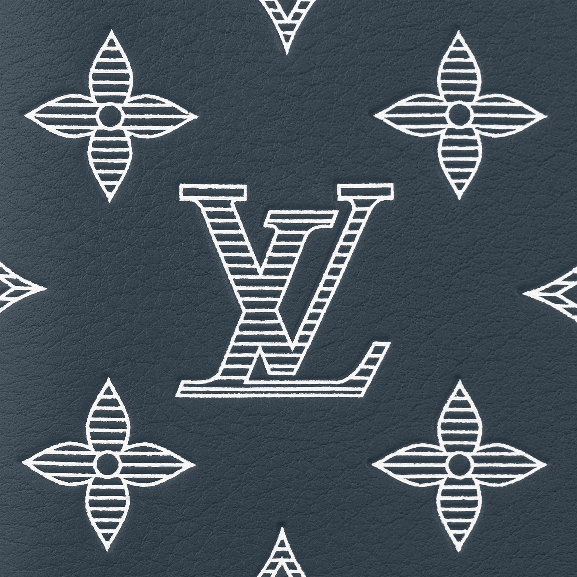 Pocket Organizer Monogram Shadow Leather in Men