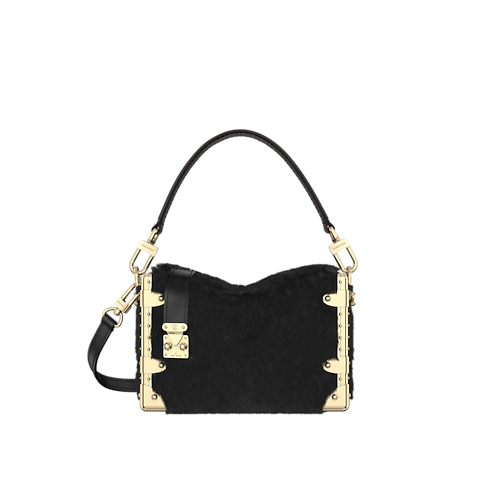 Side Trunk PM L08 in Women's Handbags Exotic Leather Bags collections by Louis Vuitton (Product zoom)