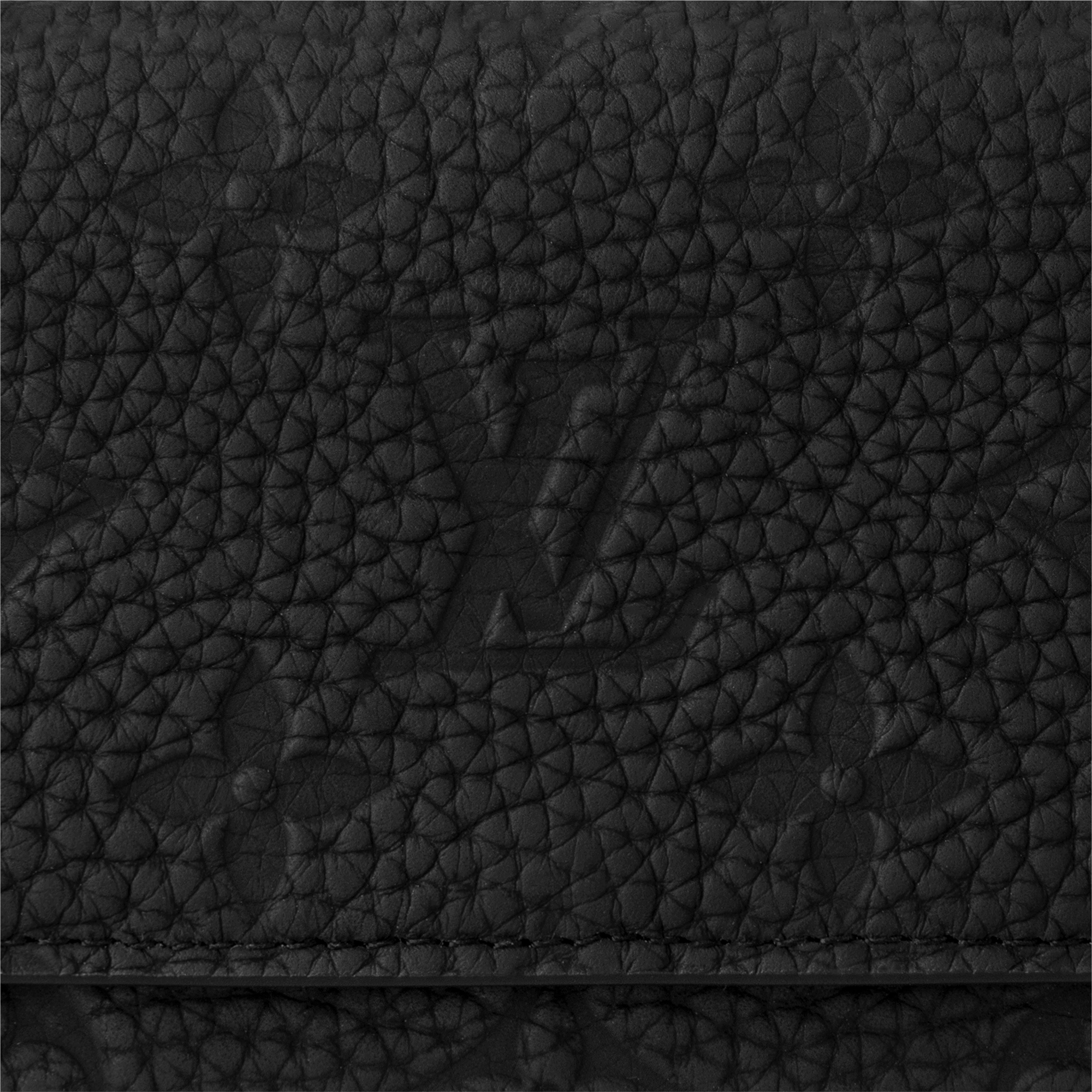Slender Pilot  Monogram Taurillon Leather LG - G90 in Super Lucky Day