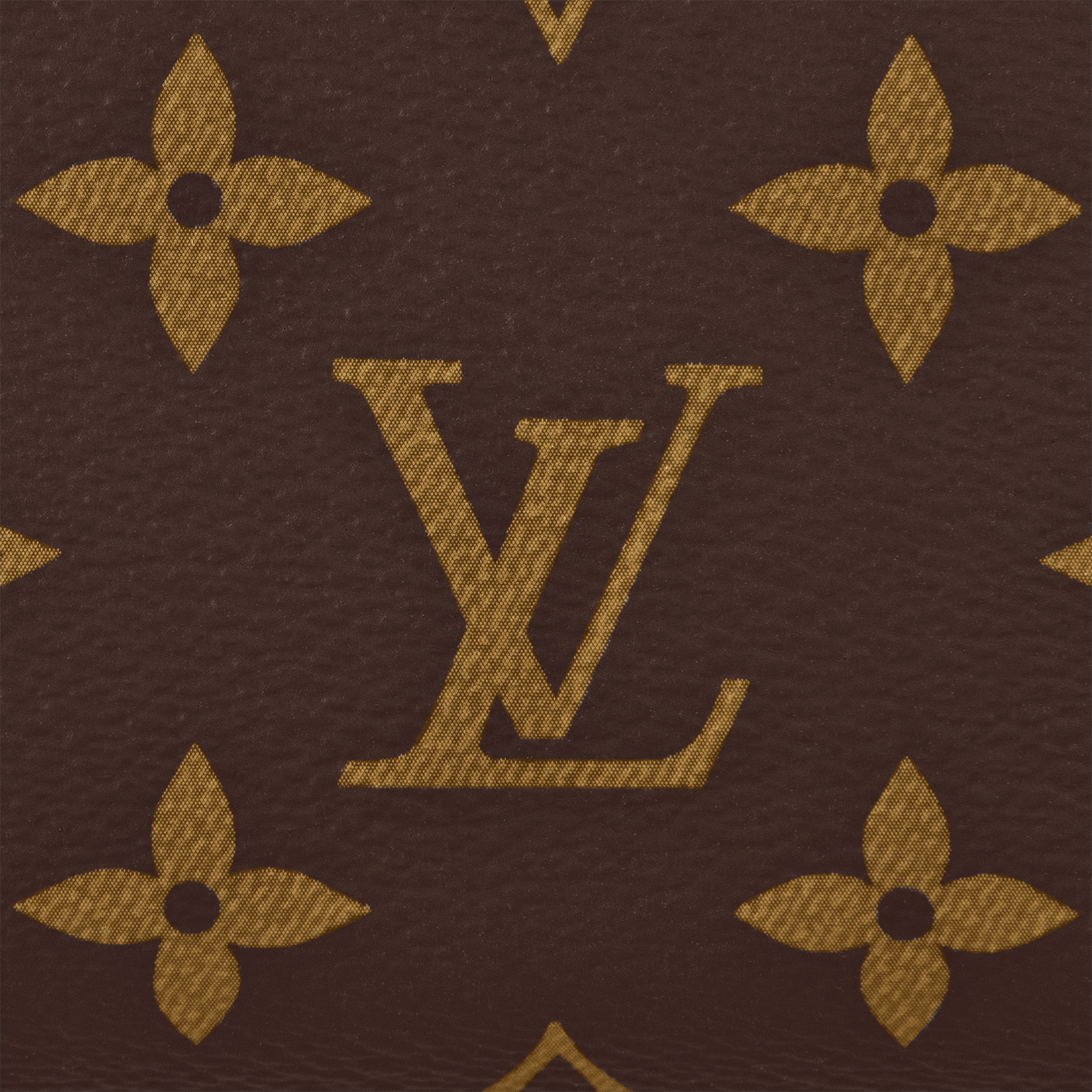 Speedy Bandoulière 20 Monogram in Women