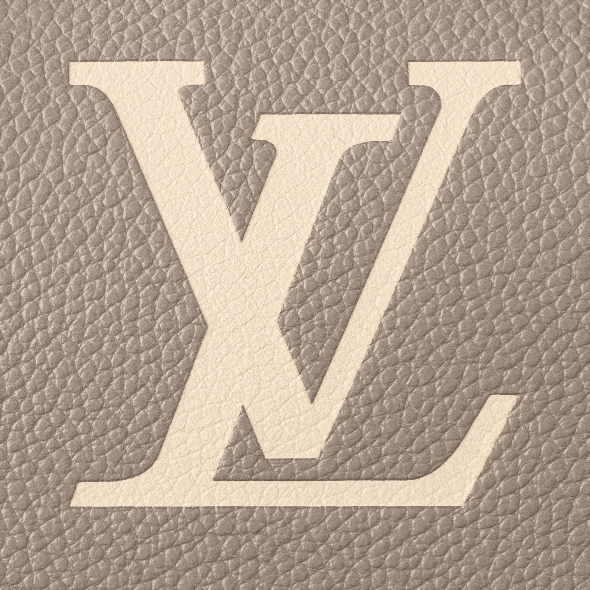Speedy Bandoulière 20 Bicolor Monogram Empreinte Leather in Women