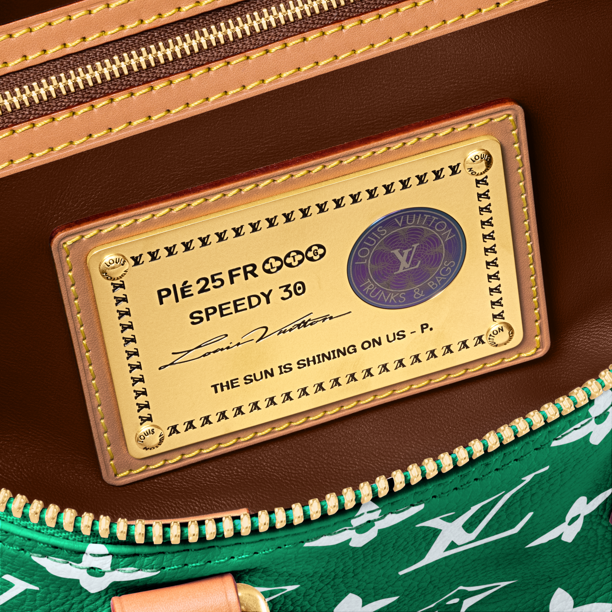 Speedy P9 Bandoulière 30 Autres Cuirs Monogram in Les Extraordinaires