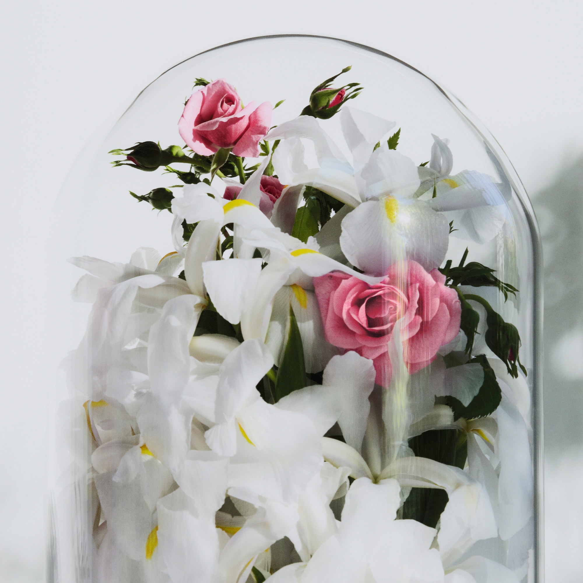 Spell on You  in Perfumes