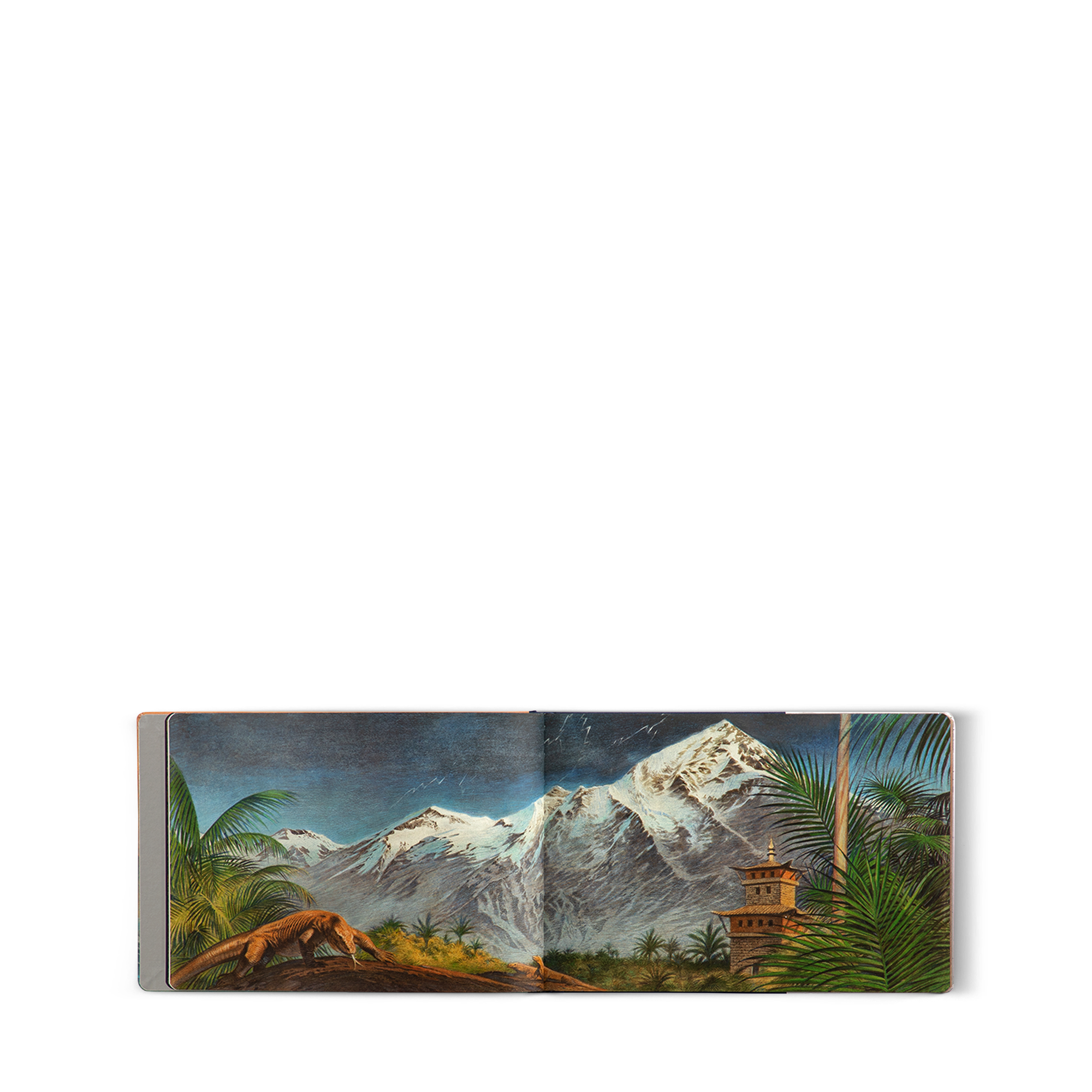 Travel Book Mars  in Trunks, Travel and Home