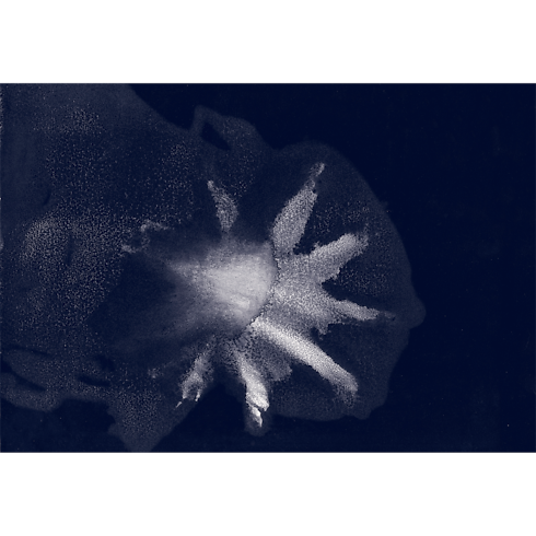 Travel Book Mediterranean Sea By Aurore de Morinerie in Trunks, Travel and Home's Books and Stationery Travel Books collections by Louis Vuitton (Product zoom)