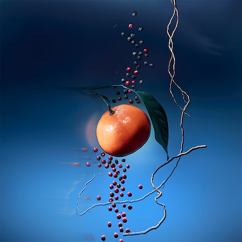 Travel Spray Météore in Perfumes's Collections Masculine Perfumes collections by Louis Vuitton (Product zoom)