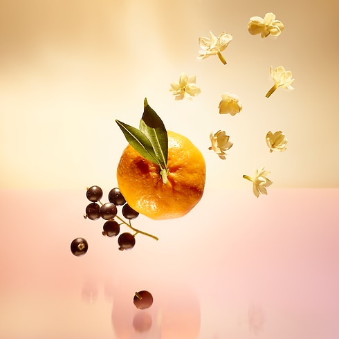 Travel Spray Refill Le Jour Se Lève in Perfumes's Collections Travel collections by Louis Vuitton (Product zoom)