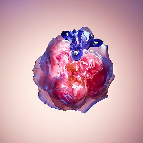 Travel Spray Rose des Vents in Perfumes's Collections Travel collections by Louis Vuitton (Product zoom)