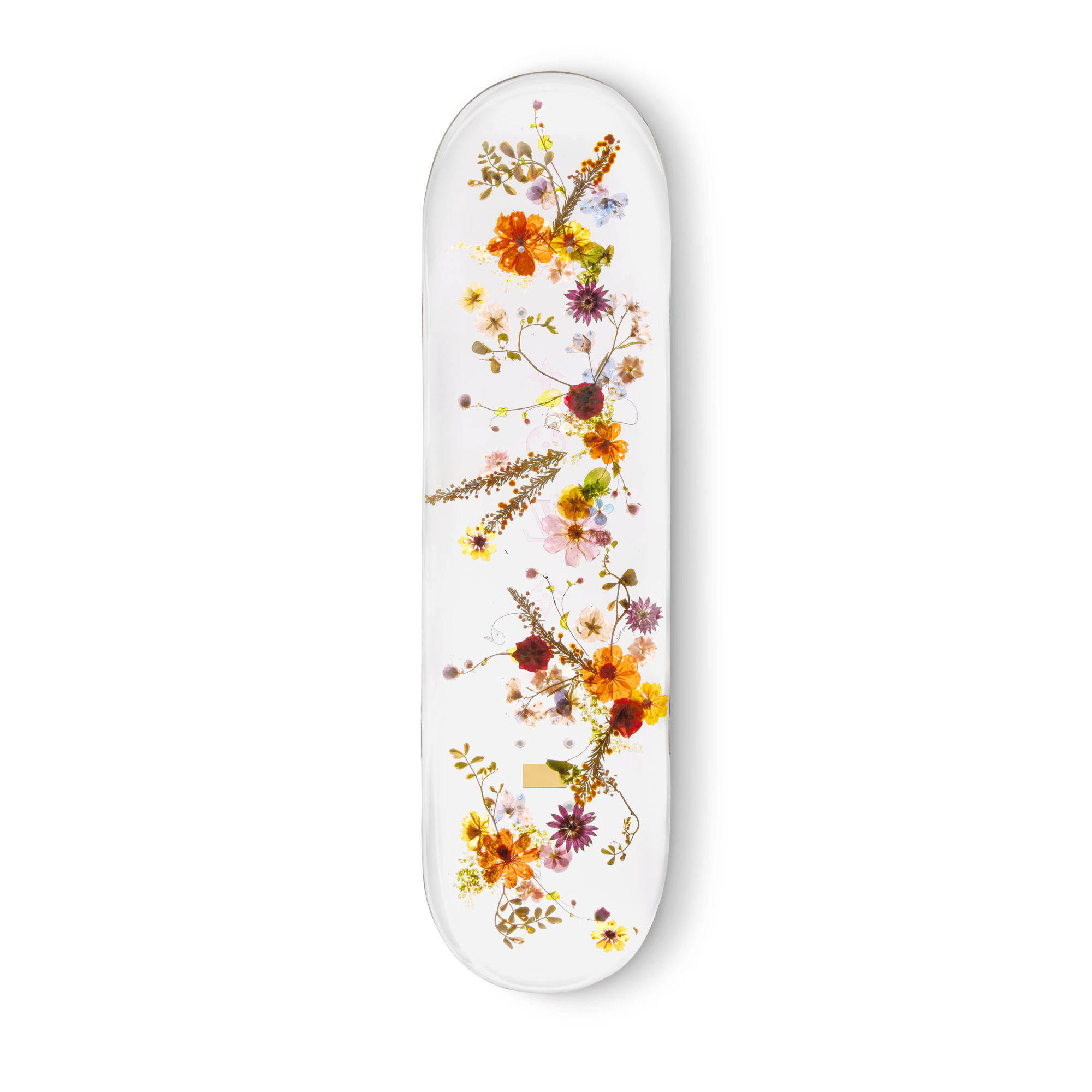 Whisper of Spring Skateboard

 . in Trunks, Travel and Home