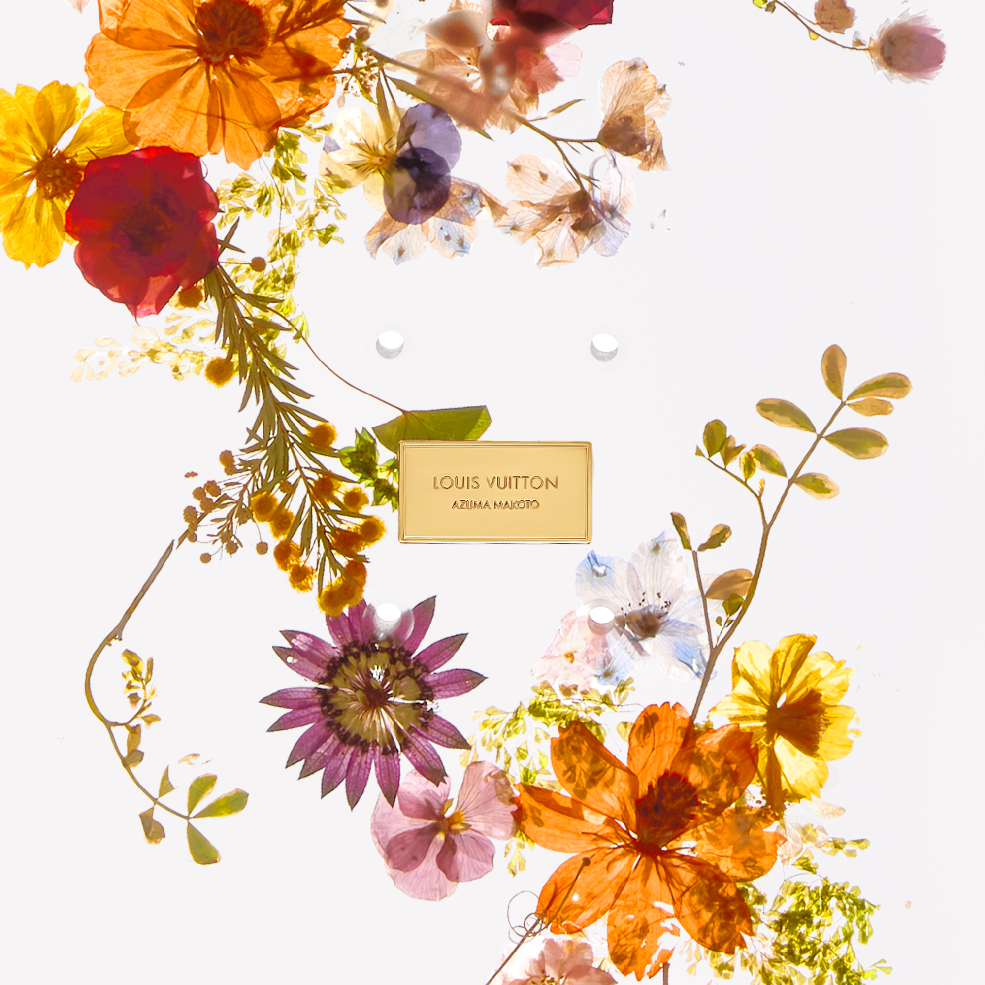 Whisper of Spring Skateboard

 . in Trunks, Travel and Home