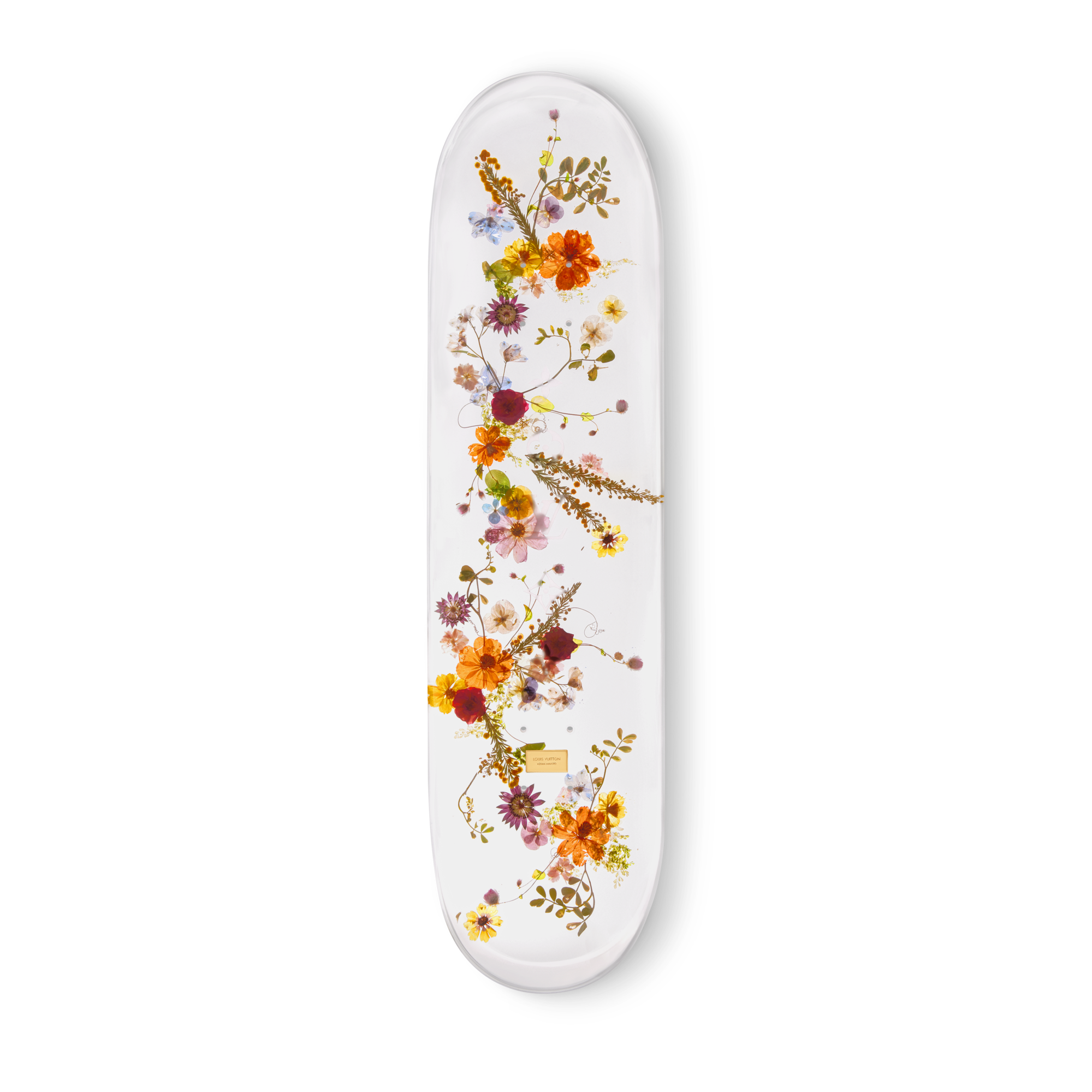 Whisper of Spring Skateboard

 . in Trunks, Travel and Home