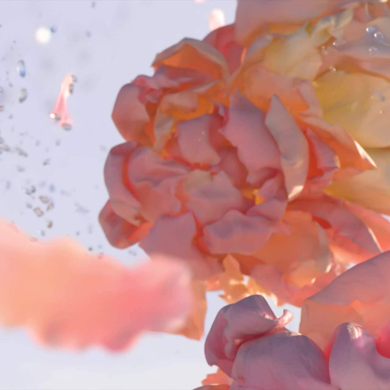 Dancing Blossom - Exceptional Creations | Louis Vuitton India